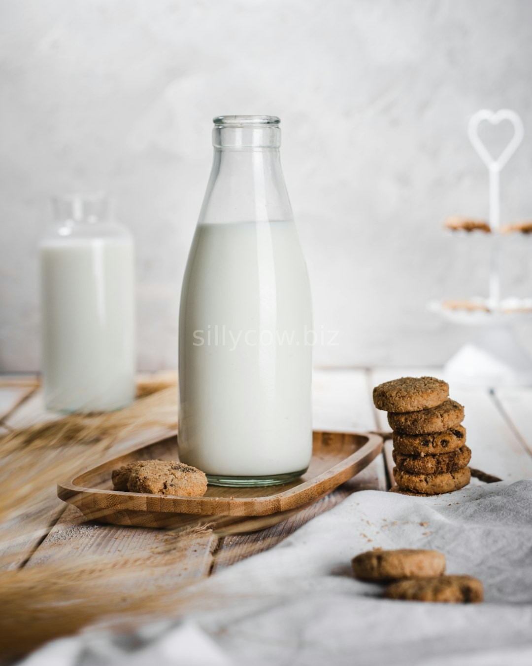 Premium Dairy