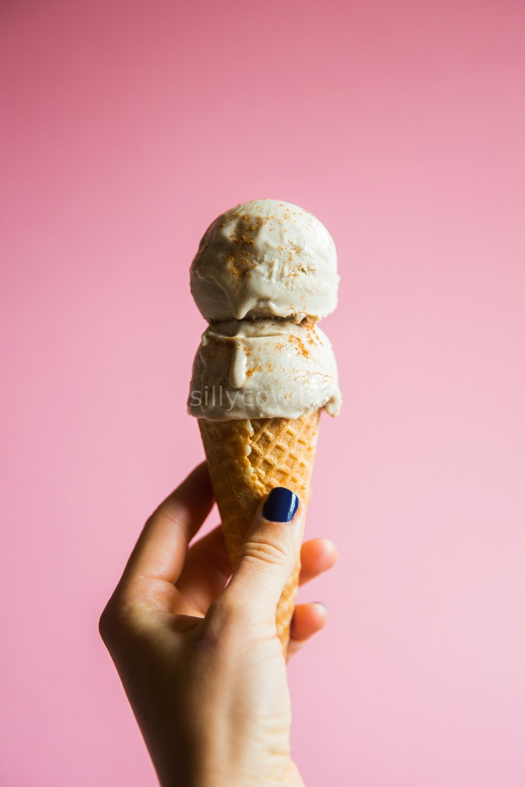 Gourmet Ice Cream Swirl