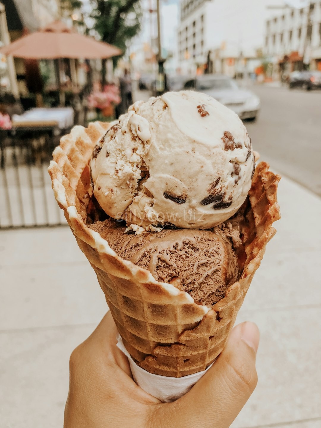Chocolate Dream